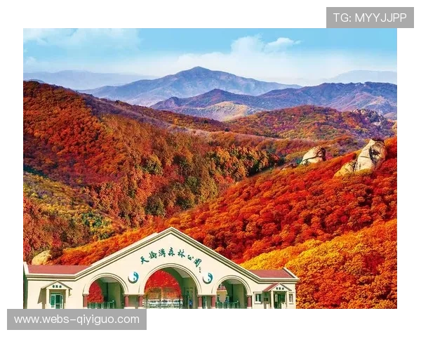 辽宁天桥沟滑雪场完成设施升级,迎接国际雪联考核 辽宁天桥沟滑雪场完成设施升级,迎接国际雪联考核